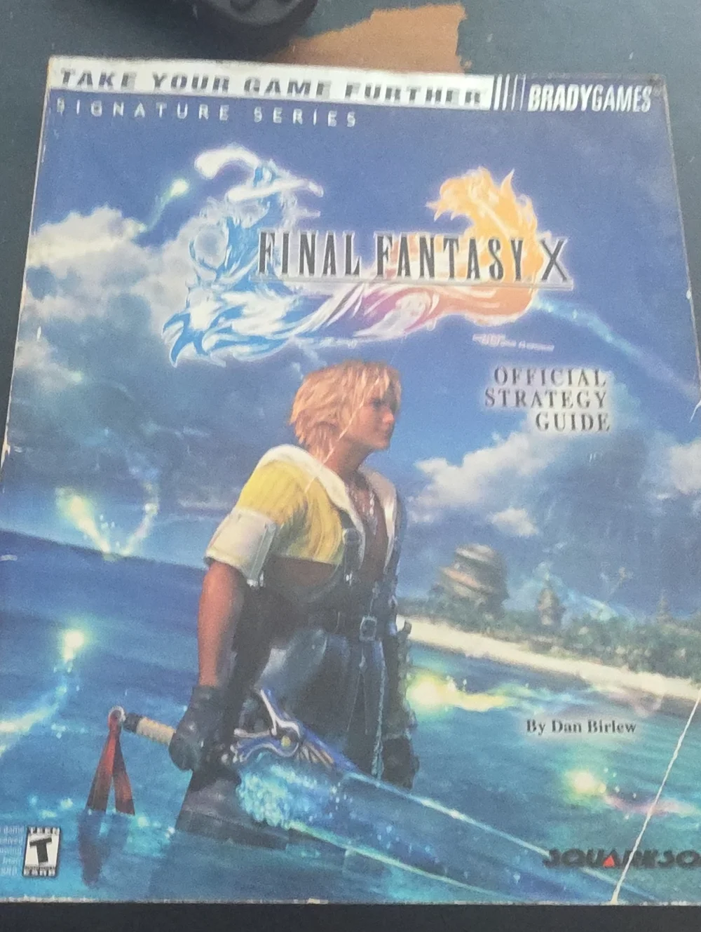 Final Fantasy X Official Strategy Guide - Blue Cover by